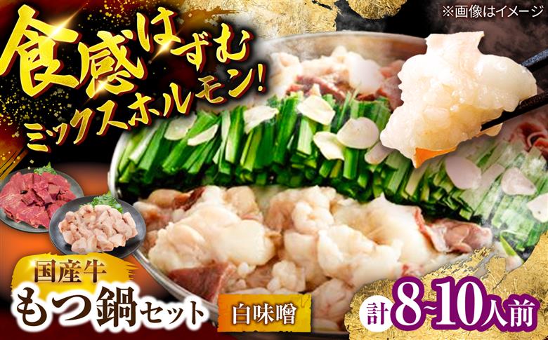 もつ鍋セット(白味噌/8-10人前)《築上町》【吉浦コーポレーション】 もつ鍋 博多もつ鍋 白味噌 国産牛 [ABFF021]