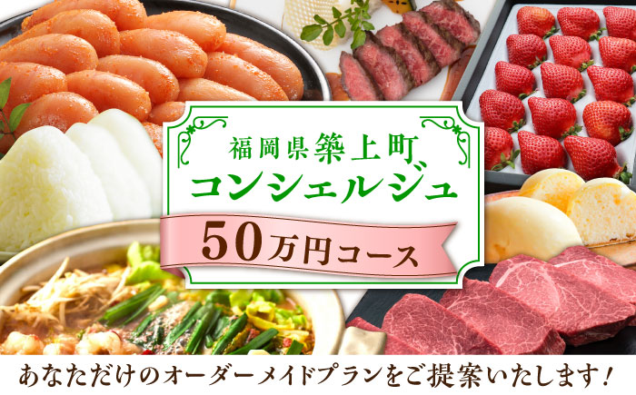 【後から選べる！】築上町 コンシェルジュ 寄附額 50万円 コース 《築上町》 おすすめ おまかせ 定期便 [ABZY001]