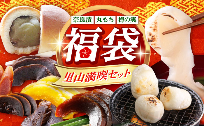 福袋 里山満喫セット （ 餅 / 漬物 / 焼き菓子 ） 《築上町》 和ギフト もち 奈良漬け 和菓子 正月 [ABZY017]
