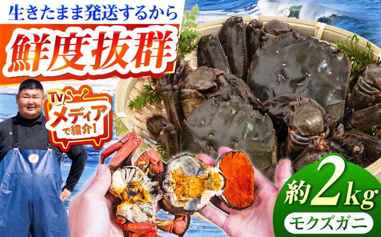 [先行予約][2026年11月下旬以降順次発送]新鮮 活モクズガニ 2kg (10〜24杯前後) オス メス セット[築上町][明青丸] 蟹 カニ カニ味噌 [ABCB006]