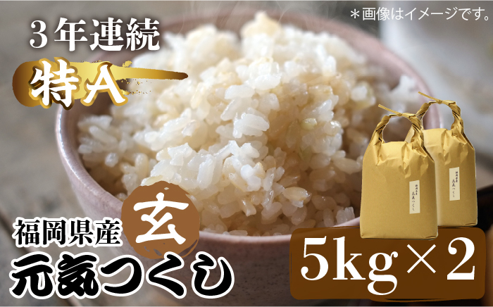 [先行予約]福岡県産[特A]評価のお米「元気つくし」5kg×2袋 [10kg] [玄米][2024年11月下旬以降順次発送][築上町][株式会社ベネフィス] [ABDF031] ご飯 ごはん 米 こめ コメ おにぎり