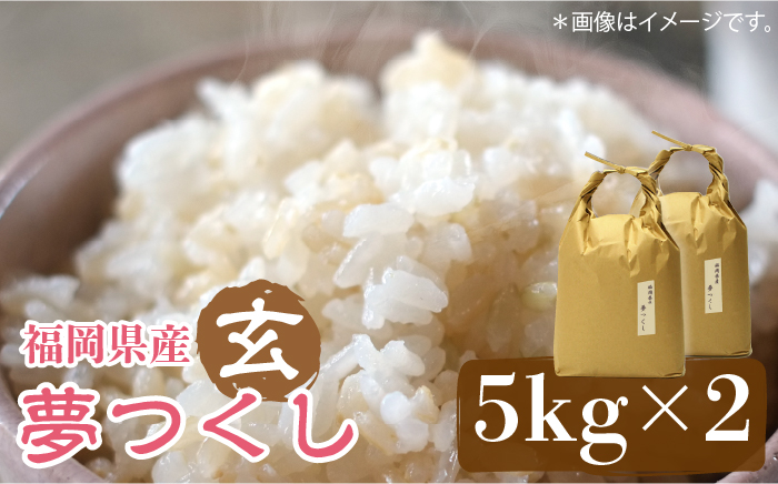 [先行予約]福岡の食卓ではおなじみの人気のお米「夢つくし」5kg×2袋 [10kg] [玄米][2024年11月下旬以降順次発送][築上町][株式会社ベネフィス] [ABDF034] ご飯 ごはん 米 こめ コメ おにぎり