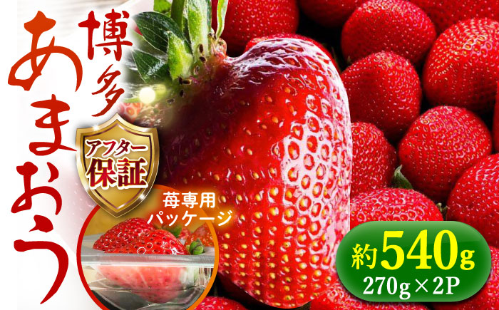 [2025年2月より順次発送]農家直送 朝採り新鮮いちご[博多あまおう]約270g×2[築上町][株式会社H&Futures] [ABDG003]