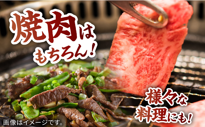 佐賀牛赤身 400g / 牛肉 / 佐賀県 / 株式会社弥川畜産 [41ADCI002]