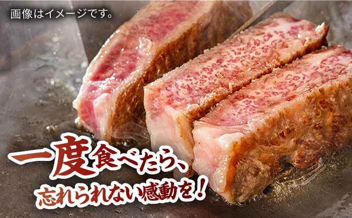 佐賀牛 厚切り サーロインステーキ 計400g（200g×2枚） / 牛肉 / 佐賀県 / 株式会社弥川畜産 [41ADCI003]