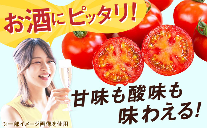 人気のドトマト2号 1箱 / 佐賀県 / 永尾産ち [41AAAC003]