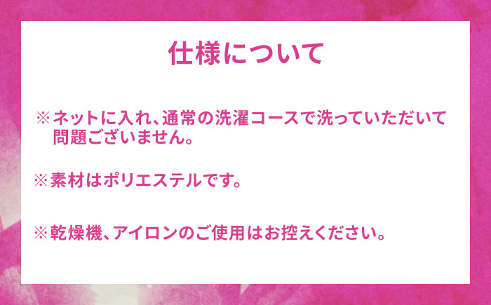 【ナンバー・ネームあり】SAGA BALLOONERS 公式オーセンティックユニフォーム（アウェイ） / バスケットボール プロ スポーツ 公式グッズ / 佐賀県 / 佐賀バルーナーズ [41AAAI004]
