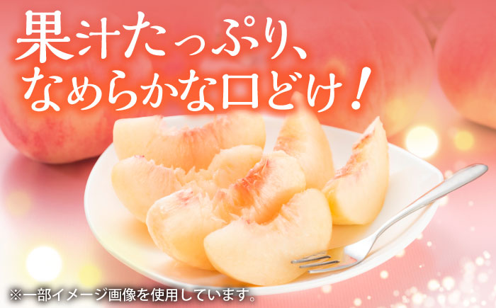 佐賀県産桃！日川白鳳2kg（8-10玉）/ もも フルーツ / 佐賀県 / 石橋果樹園 [41AAAJ002]