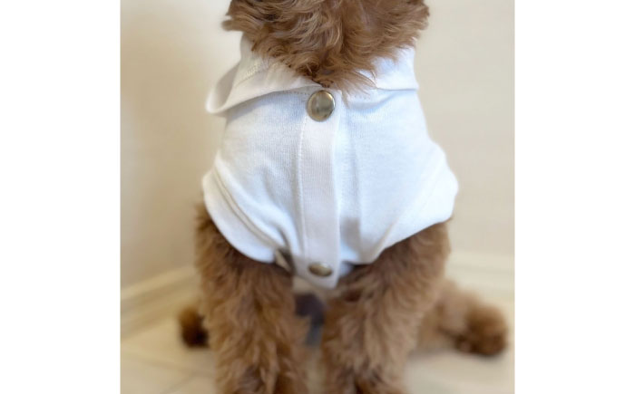 コットンパーカー ホワイト（ワンちゃん用）（SS/S/MM/Mサイズ） / ペット用品 / 佐賀県 / Canis Lupus [41AAAN004]