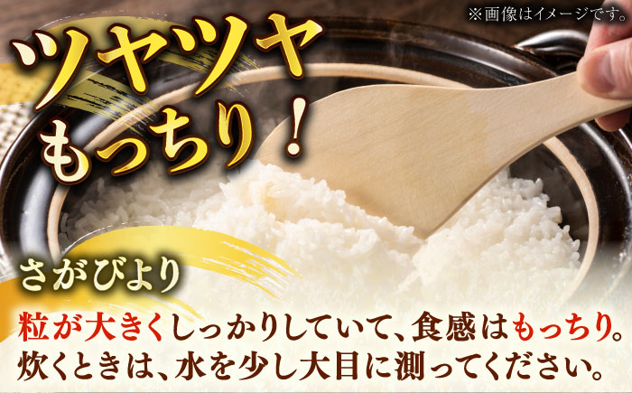佐賀県産さがびより 4.5kg / 精米 / 佐賀県 / さが風土館季楽 [41AABE041]