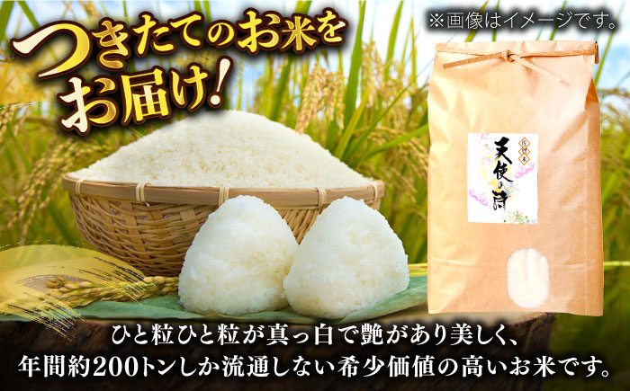 令和6年産 天使の詩 白米 約4.5kg / 精米 / 佐賀県 / さが風土館季楽 [41AABE044]
