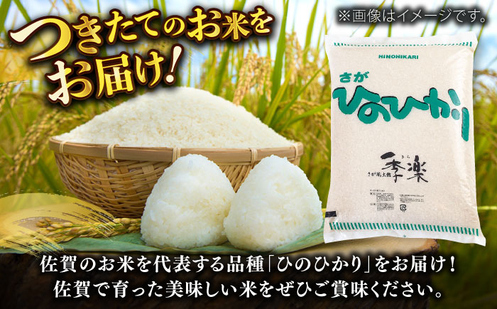 佐賀県産米/ 化粧箱入り】令和5年産 さがひのひかり 約9kg / お米 精米 ブランド米 ふるさと納税米 贈答用/ 佐賀県/さが風土館季楽  [41AABE050]