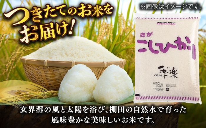 令和6年産 上場産こしひかり 約4.5kg / 精米 / 佐賀県 / さが風土館季楽 [41AABE051]