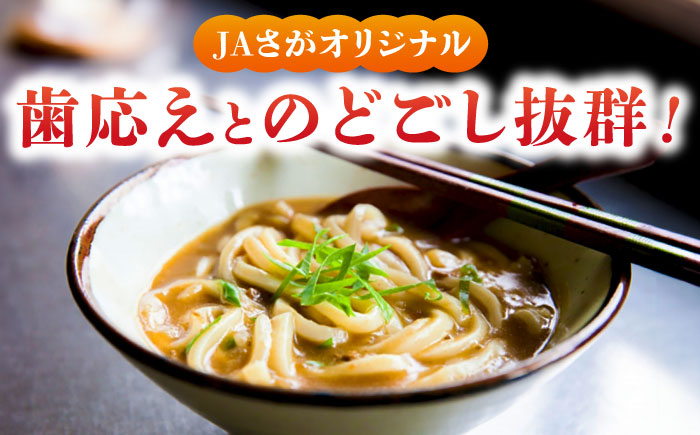 さがカレーうどん 計16袋（めん、スープ付き） / 佐賀県 / さが風土館季楽 [41AABE082]