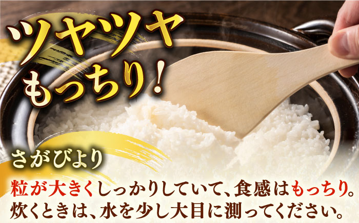 さがびより 無洗米 計15kg（5kg×3袋） / お米 / 佐賀県 / さが風土館季楽 [41AABE090]