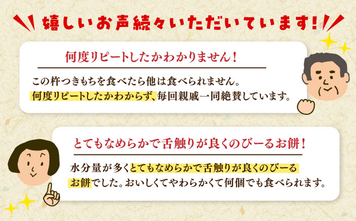 自慢の杵つきよもぎ餅（冷凍）計48個入（40g×4個入×12P） / もち / 佐賀県 / 旬菜舎さと山 [41AABM027]