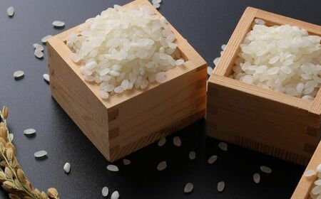 【全5回定期便】令和7年産 特別栽培米「さがびより」精米 計16.2kg（2.7kg×1袋×5回） / 佐賀県 / 光吉農産 [41AACV007]