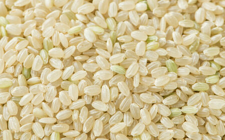 【全5回定期便】令和7年産 特別栽培米「さがびより」玄米 計25kg（5kg×1袋×5回） / 佐賀県 / 光吉農産 [41AACV013]