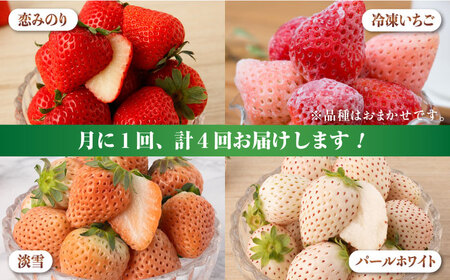 【2026年発送分 先行予約】【全4回定期便】希少いちご（恋みのり・パールホワイト・淡雪・冷凍いちご）食べ比べ定期便 / フルーツ / 佐賀県ふるさと納税 [41AAZZ003]