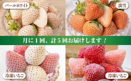 【2026年発送分 先行予約】【全5回定期便】白いちご2種と冷凍いちご / フルーツ / 佐賀県ふるさと納税 [41AAZZ004]