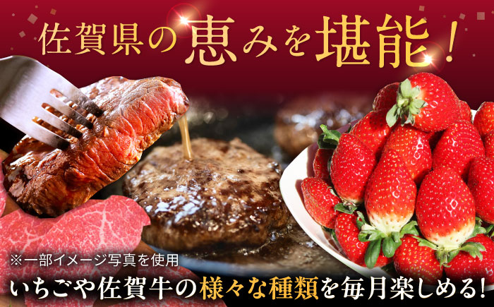 【2026年発送分 先行予約】【全3回定期便】いちごさんと佐賀牛定期便 / ステーキ 焼肉 ハンバーグ イチゴ / 佐賀県ふるさと納税 [41AAZZ011-1]