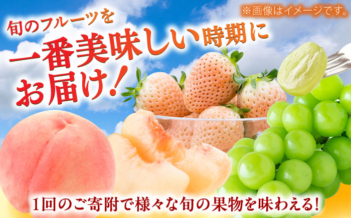 【2026年発送分 先行予約】【全3回定期便】佐賀県の生産者を応援！いちごと桃とシャインマスカットを楽しむ定期便 / フルーツ / 佐賀県ふるさと納税 [41AAZZ020]