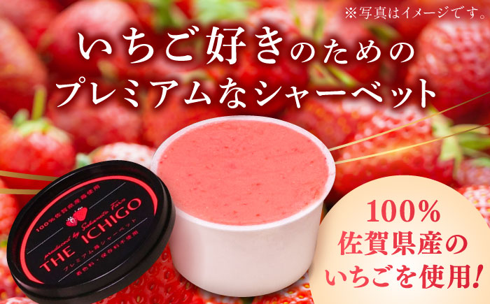 【2026年発送分 先行予約】苺そのままの甘酸っぱさ！THE ICHIGO  プレミアム苺シャーベット 計8個 / スイーツ / 佐賀県 / リフルット株式会社 [41ABAA019]