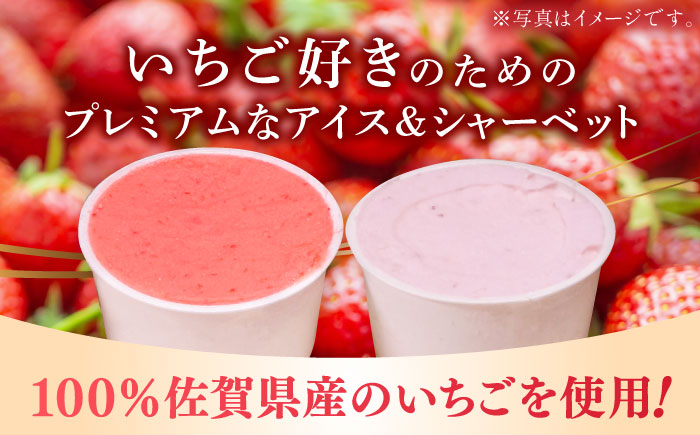 【2026年発送分 先行予約】苺好きが夢中！THE ICHIGO プレミアム苺アイスクリーム＆シャーベット 計8個  / スイーツ / 佐賀県 / リフルット株式会社 [41ABAA020]