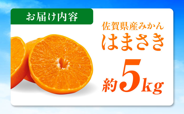佐賀県産みかん はまさき約5kg / みかん 蜜柑 果物 フルーツ / 佐賀県 / リフルット株式会社 [41ABAA022]