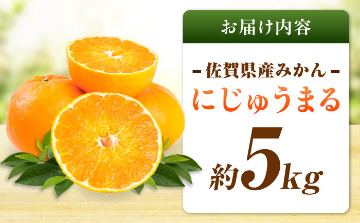 佐賀県産みかん にじゅうまる約5kg / フルーツ 柑橘 唐津 にじゅうまる / 佐賀県 / リフルット株式会社 [41ABAA023]