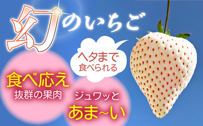 白い宝石（訳あり）約520g（約130g×4パック） / いちご / 佐賀県 / 手島農園 [41ABAB004]