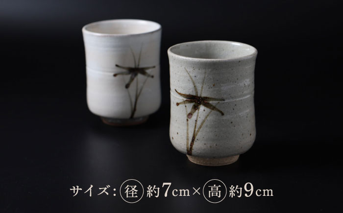 【唐津焼】絵唐津・絵粉引 組湯呑み / 佐賀県 / 大杉皿屋窯 [41ABAC017]