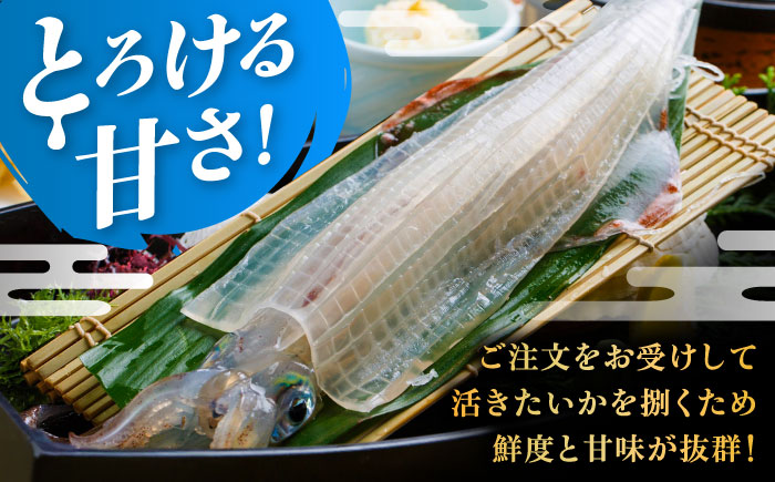 いか活造り定食お食事券（2名様分） / イカ / 佐賀県 / 河太郎呼子店 [41ABAE001]