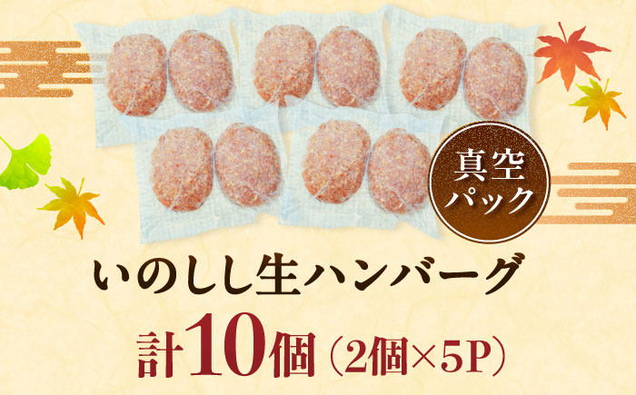 猪肉の生ハンバーグ 計10個（120g×2個入り×5パック） / 佐賀県 / ジビエ唐津 [41ABAG005]