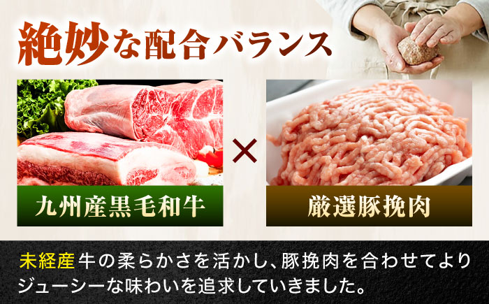 【全6回定期便】 唐津バーグ 計8.4kg（140g×10個×6回） / ハンバーグ 佐賀県 牛肉 / 佐賀県 / いきや食品株式会社 [41ABAH003]