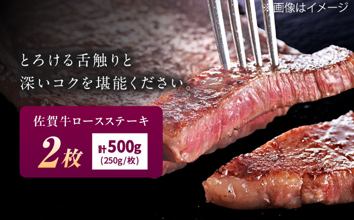 佐賀牛 ロースステーキ 500g（250g×2枚） / 牛肉 / 佐賀県 / 織田精肉店 [41ADAB002]