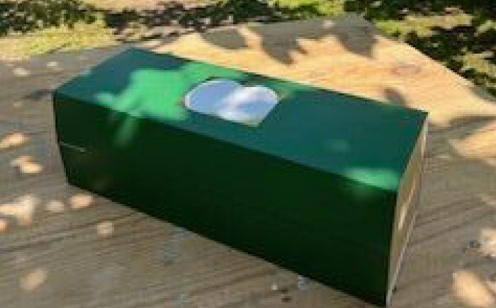 【2026年発送分 先行予約】【化粧箱入り】幸太郎（幸水）3個入（約1.2kg）/ 梨 / 佐賀県 / 大川三世代 [41AEAB003]