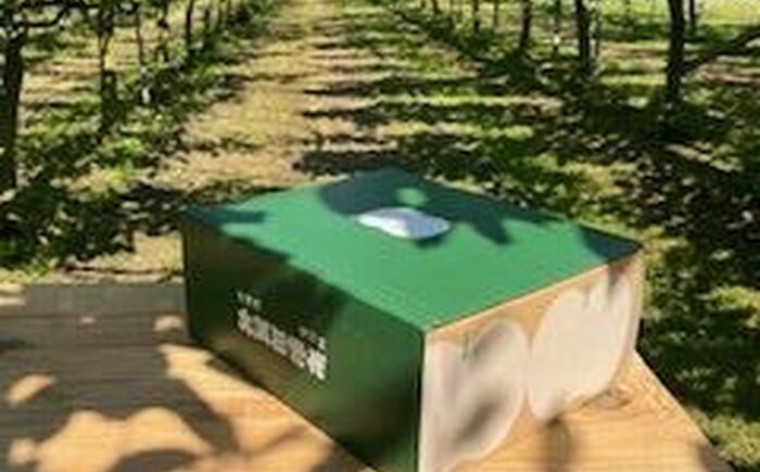 【2026年発送分 先行予約】【化粧箱入り】幸太郎（幸水）5-6個入（約2.3kg）/ 梨 / 佐賀県 / 大川三世代 [41AEAB004]