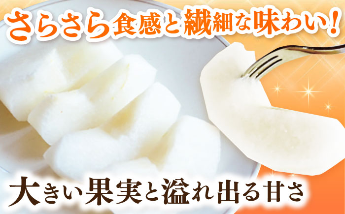 【2026年発送分 先行予約】【化粧箱入り】新吉（新高）4個入（約3kg） / 梨 / 佐賀県 / 大川三世代 [41AEAB009]