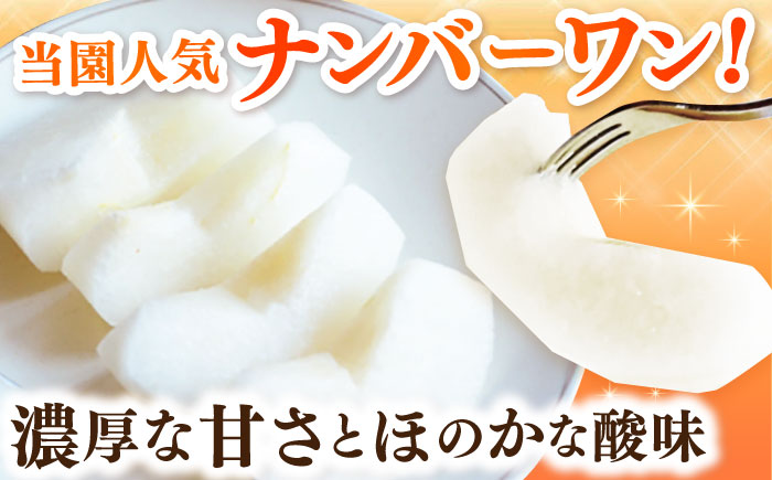 【2026年発送分 先行予約】【化粧箱入り】甘太郎（甘太）5-8個入（約3kg）/ 梨 / 佐賀県 / 大川三世代 [41AEAB010]