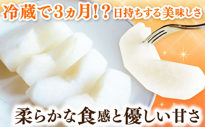 【2026年発送分 先行予約】【化粧箱入り】秋丸（王秋）5-8個入（約3kg） / 梨 / 佐賀県 / 大川三世代 [41AEAB011]