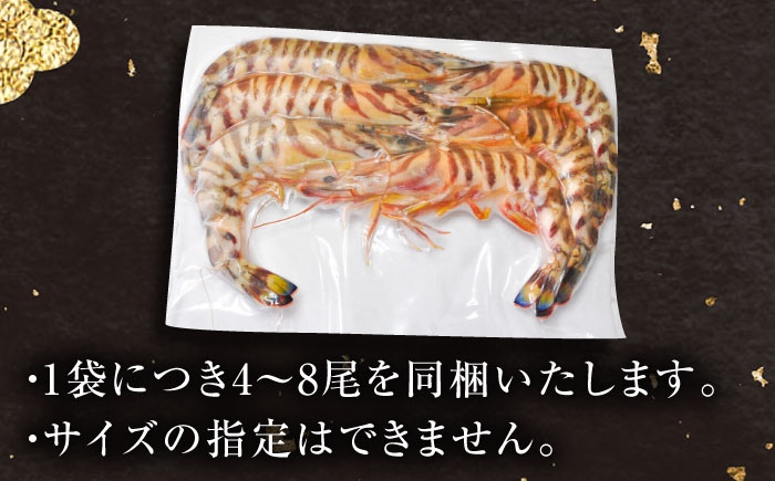 【訳あり】伊万里特産 冷凍車海老（加熱用） 計750g（250g×3パック） / えび / 佐賀県 / 株式会社拓水 伊万里クルマエビセンター [41AEAJ006]