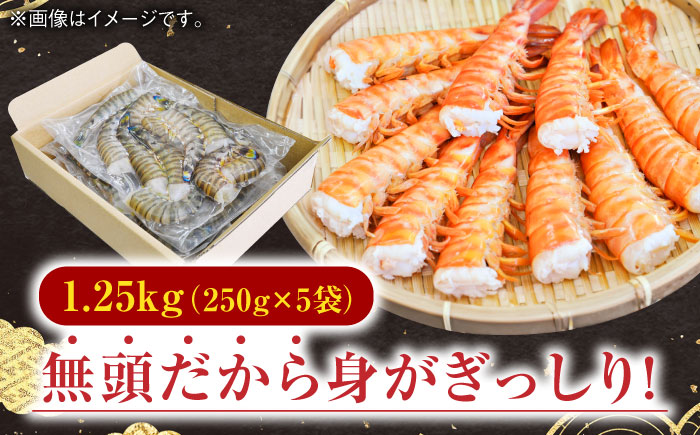 【加熱用】伊万里特産 無頭冷凍車海老 計1.25kg（250g×5袋）/ えび / 佐賀県 / 株式会社拓水 伊万里クルマエビセンター [41AEAJ009]
