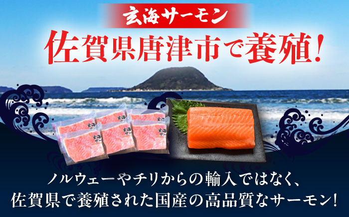 玄海サーモン柵80g×6袋 / 魚介類 / 佐賀県 / 株式会社九州特産品販売 [41AECT008]