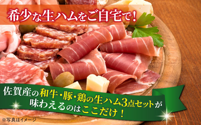 佐賀の生ハム3種で夢の饗宴 全3種（各1パック）  / 加工肉 / 佐賀県 [41AECT015]