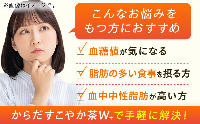 【全3回定期便】からだすこやか茶Ｗ+ 計72本（350ml×24本×3回） / お茶 / 佐賀県 / コカ・コーラボトラーズジャパン株式会社 [41AFAO023]