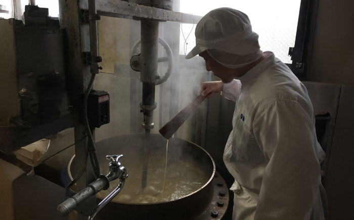 昔ようかん300g×3本詰 / 羊羹 / 佐賀県 / 有限会社八頭司傳吉本舗 [41AHAB002]