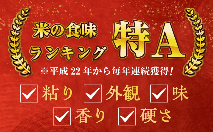 令和7年産 ななしま家 さがびより 5kg / 精米 / 佐賀県 / 有限会社七島農産 [41AHAC002]