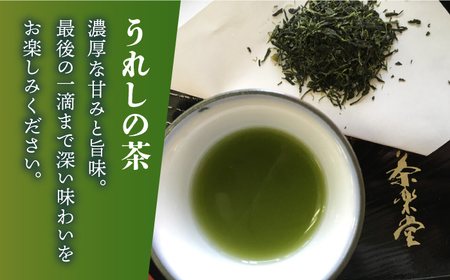 【一番摘み茶葉のみを使用！】老舗茶屋川原茶業の特別な嬉野茶（一番茶 かぶせ玉緑茶100g×3本入） / 佐賀県 / 株式会社川原茶業 [41AIAV003]