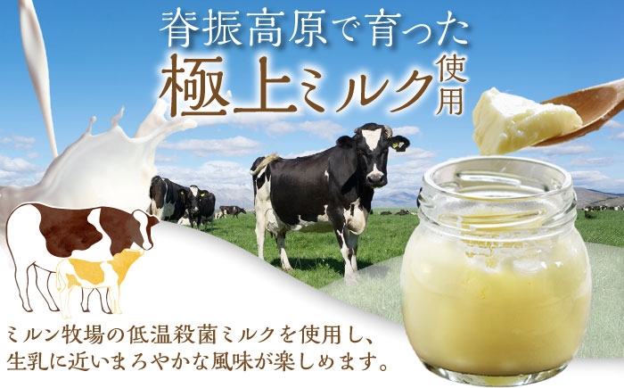 あんプリン 10個 / スイーツ / 佐賀県 / 本間農園 [41AJAA007]